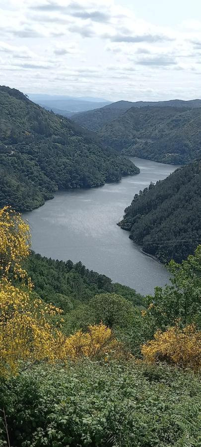 노게이라데라민 A Casa Do Buxo 빌라 외부 사진