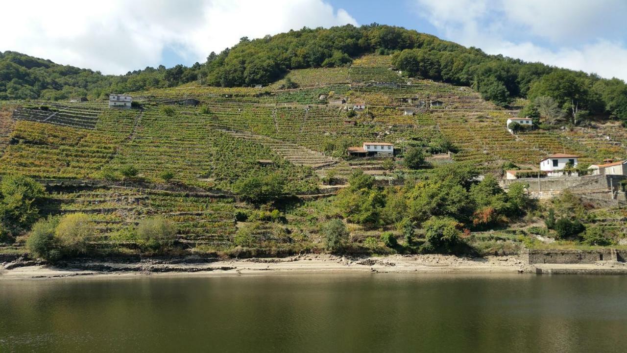 노게이라데라민 A Casa Do Buxo 빌라 외부 사진